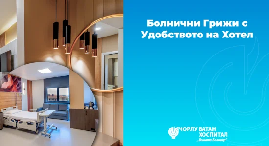 Varlık 911108 Varlık 911108