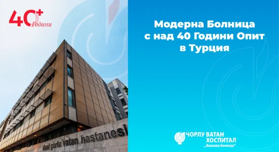 Varlık 931108 Varlık 931108