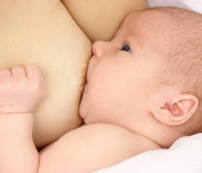 Yılan Yapısı 1915843585