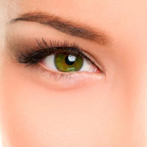 Yılan Yapısı 1474827458