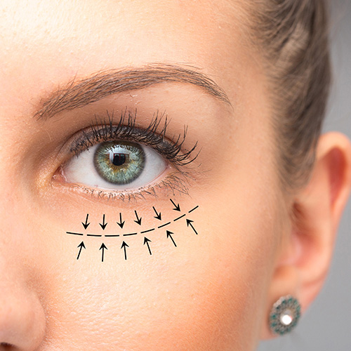 Yılan Yapısı 81291181