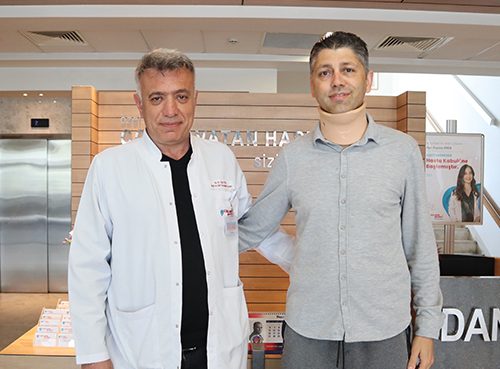 Yılan Yapısı 762862725