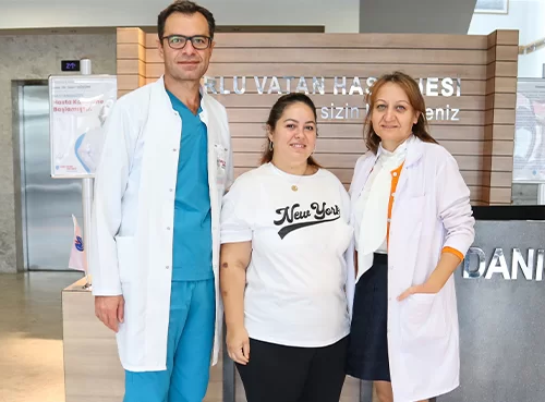 Yılan Yapısı 833875265