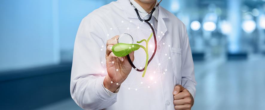 Жлъчен мехур: структура, функция, заболявания и възможности за лечение