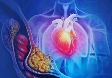 „Холестерол“: враг или верен приятел на тялото ни?