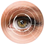 Очно Здраве и Околоочна Естетика